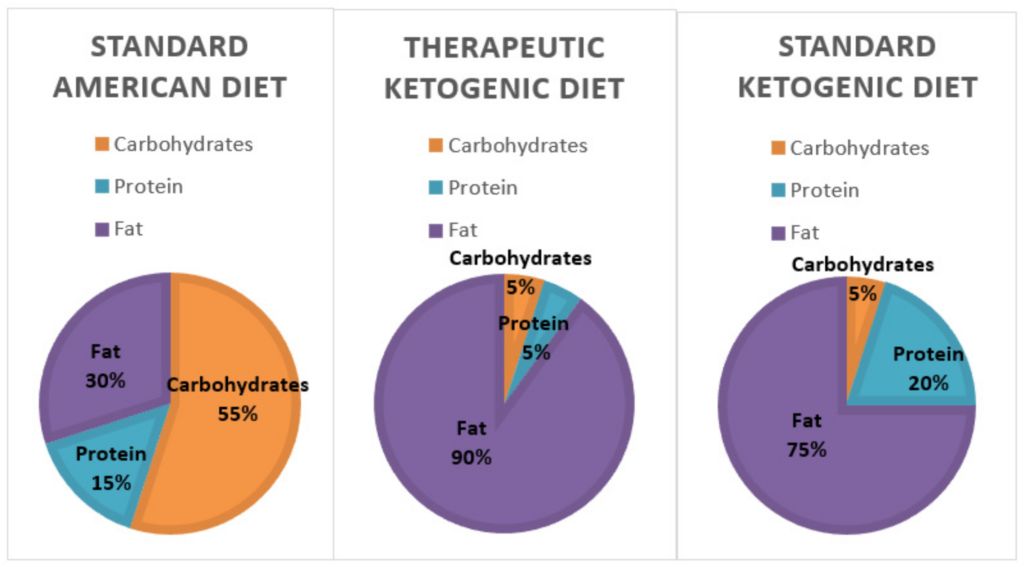 The Benefits of Exploring the Ketogenic Diet The Benefits of Exploring the Ketogenic Diet