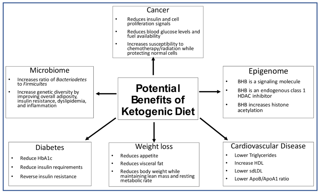 The Benefits of Exploring the Ketogenic Diet The Benefits of Exploring the Ketogenic Diet