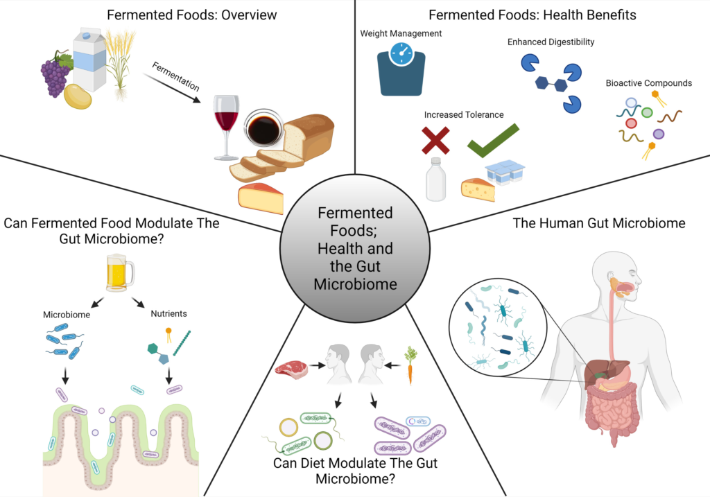 The Impact of Fermented Foods on Digestion and Weight Management