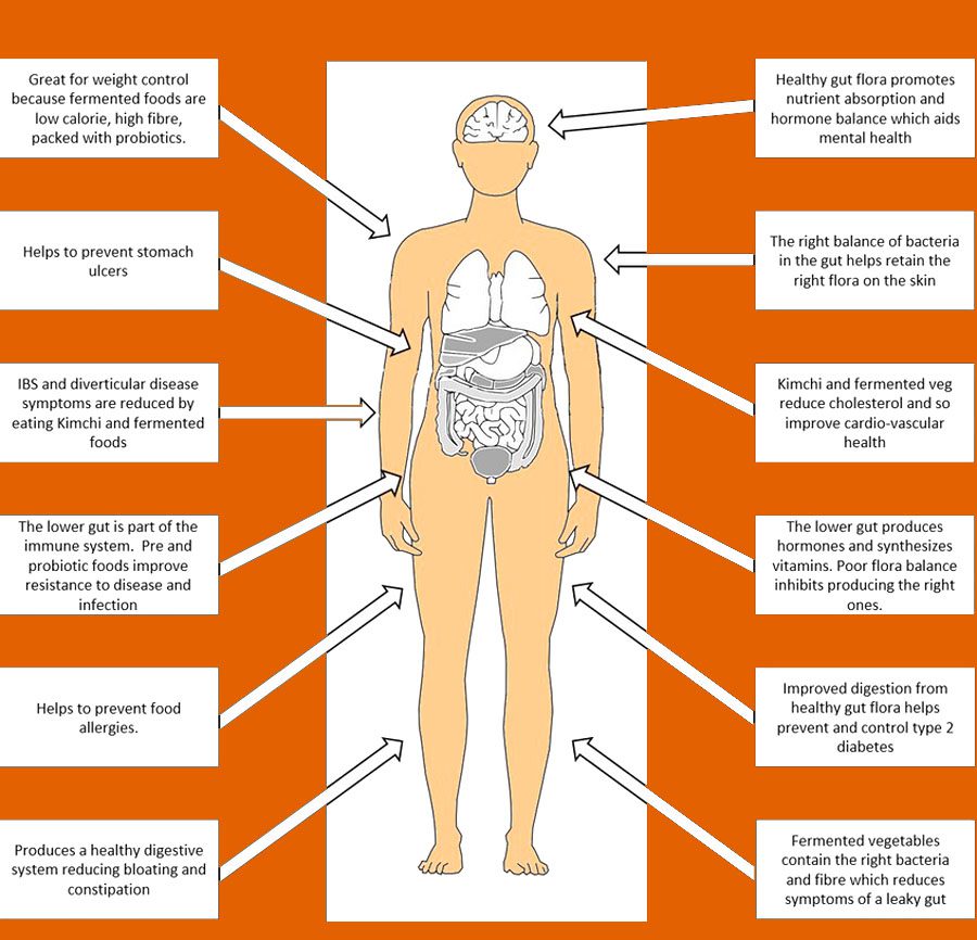 The Impact of Fermented Foods on Digestion and Weight Management