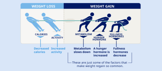 Common Reasons Why People Struggle with Weight Loss